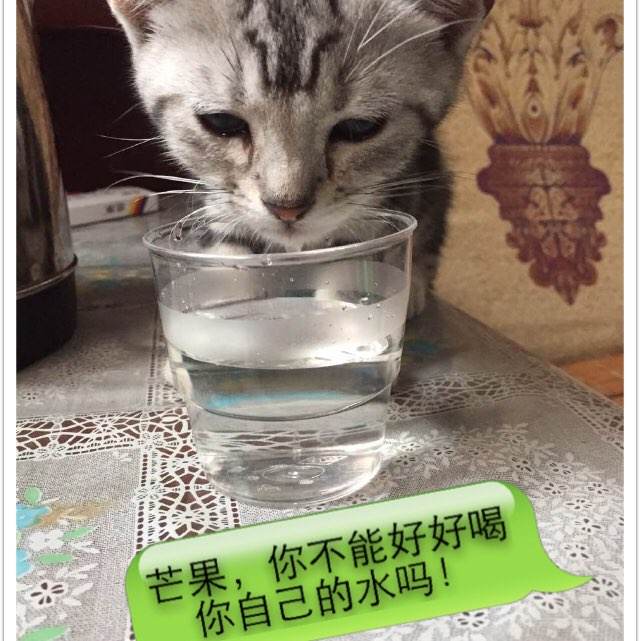 买二手房只有一个不动产权证